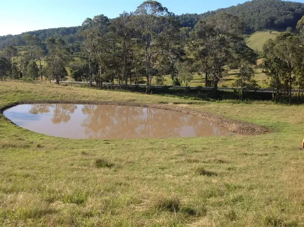 A Large Pond in a Grassy Field With A Big Forest in the Background — S M & A J Gilbert Earthmoving in Mitchells Island, NSW