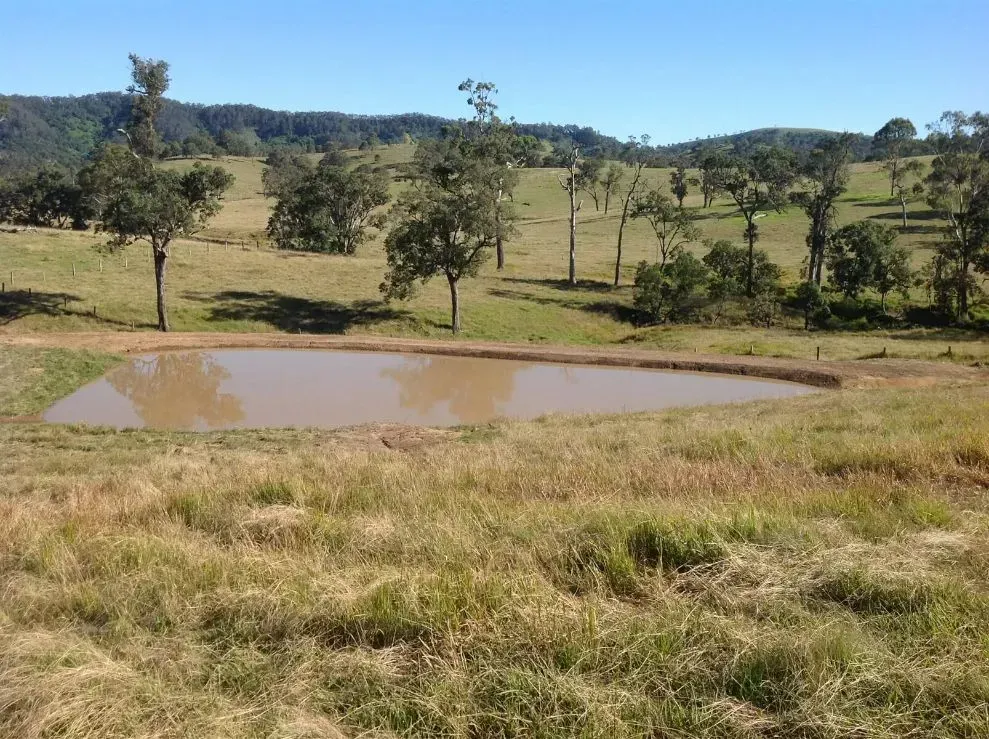 A Small Pond in the Middle of a Jungle — S M & A J Gilbert Earthmoving in Mitchells Island, NSW
