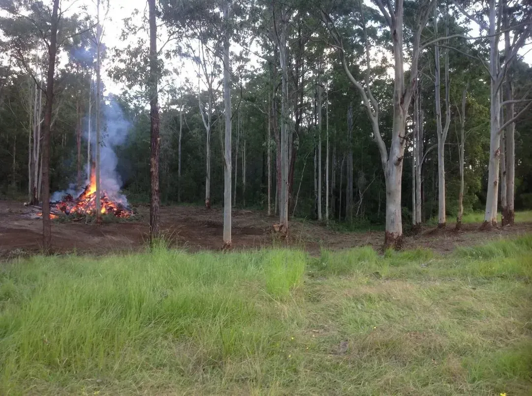 A Small Bonfire Within The Forest — S M & A J Gilbert Earthmoving in Mitchells Island, NSW