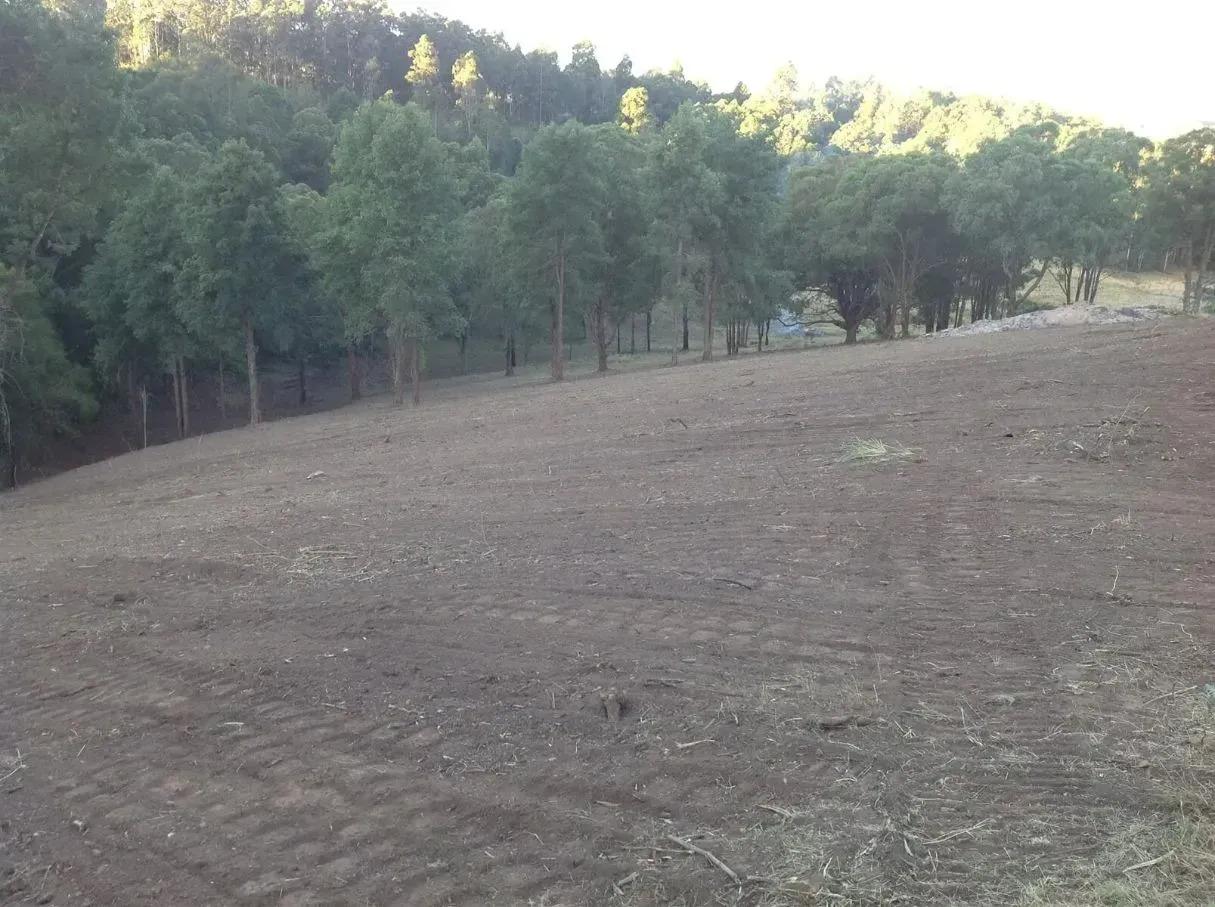 A Large Dirt Field With Trees in the Background Tilting — S M & A J Gilbert Earthmoving in Mitchells Island, NSW