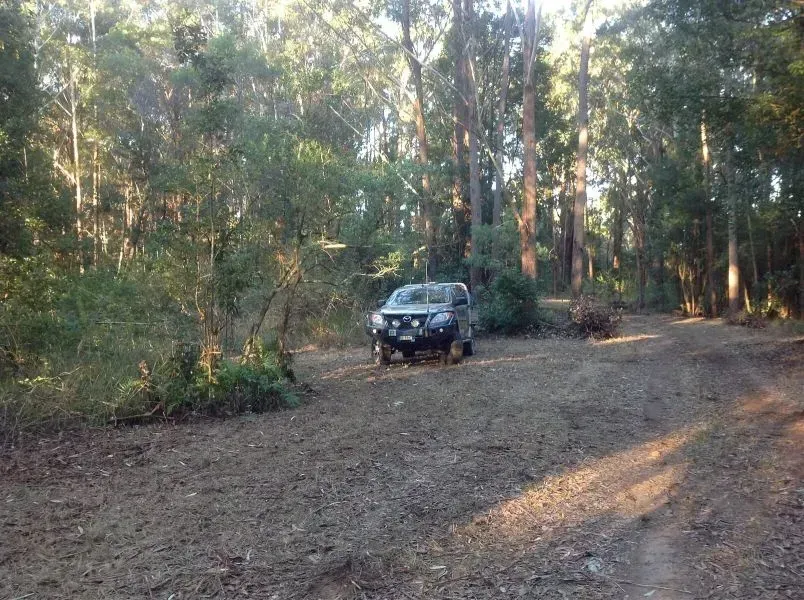 A Truck is Parked in the Middle of a Long Dirt Road in the Woods — S M & A J Gilbert Earthmoving in Mitchells Island, NSW