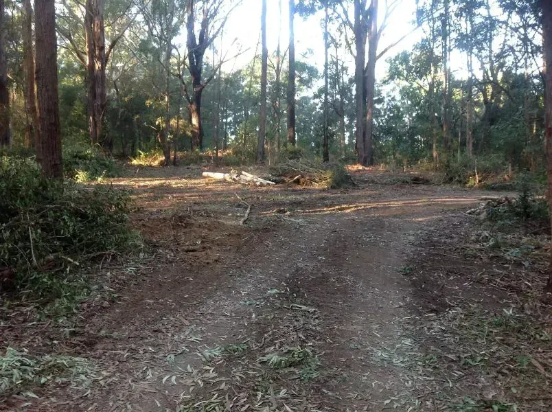A Large Forest That Has A Long Dirt Road — S M & A J Gilbert Earthmoving in Mitchells Island, NSW