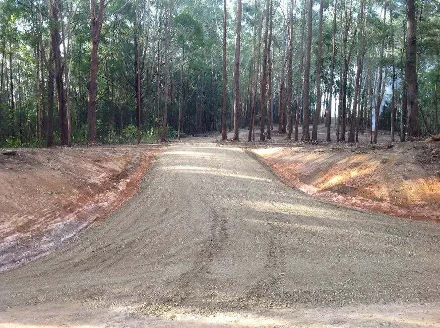 A Dirt Road Going Through a Forest With Multiple Trees on Both Sides — S M & A J Gilbert Earthmoving in Mitchells Island, NSW