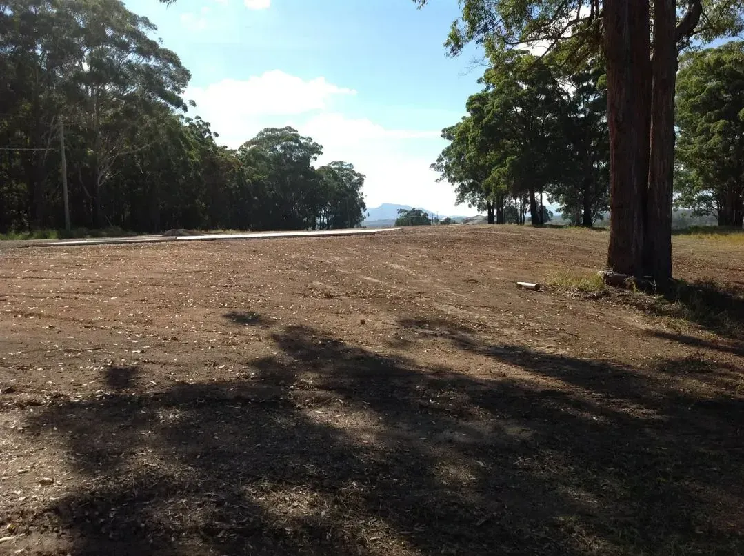 A Pleasant Field With Shades of Trees and a Road in the Background — S M & A J Gilbert Earthmoving in Mitchells Island, NSW