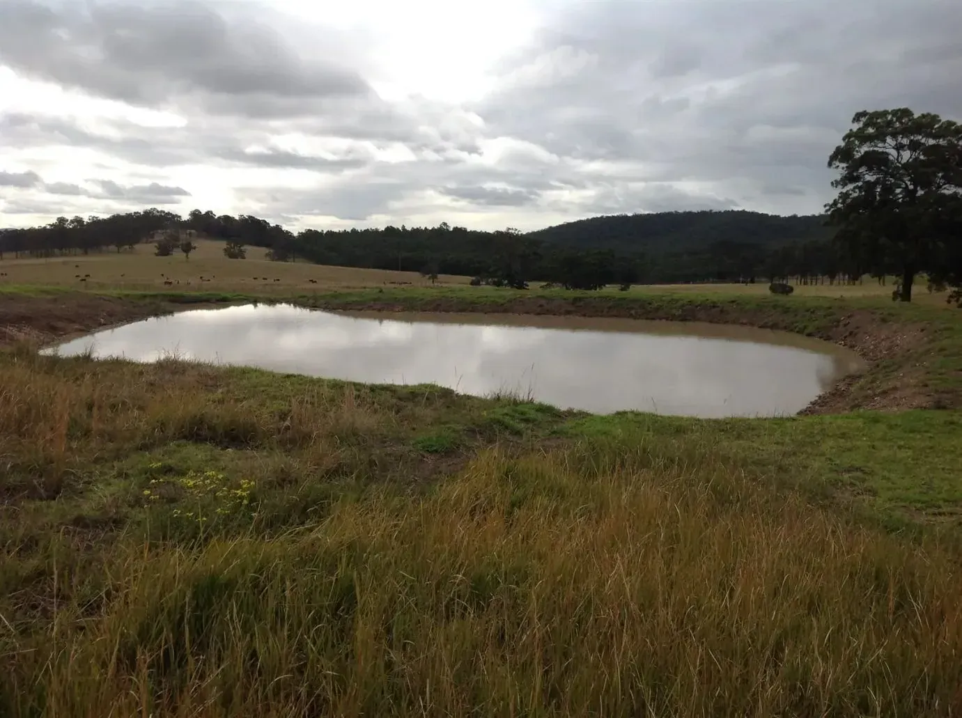 A Big Pond in the Middle of a Grassy and Gloomy Field — S M & A J Gilbert Earthmoving in Mitchells Island, NSW