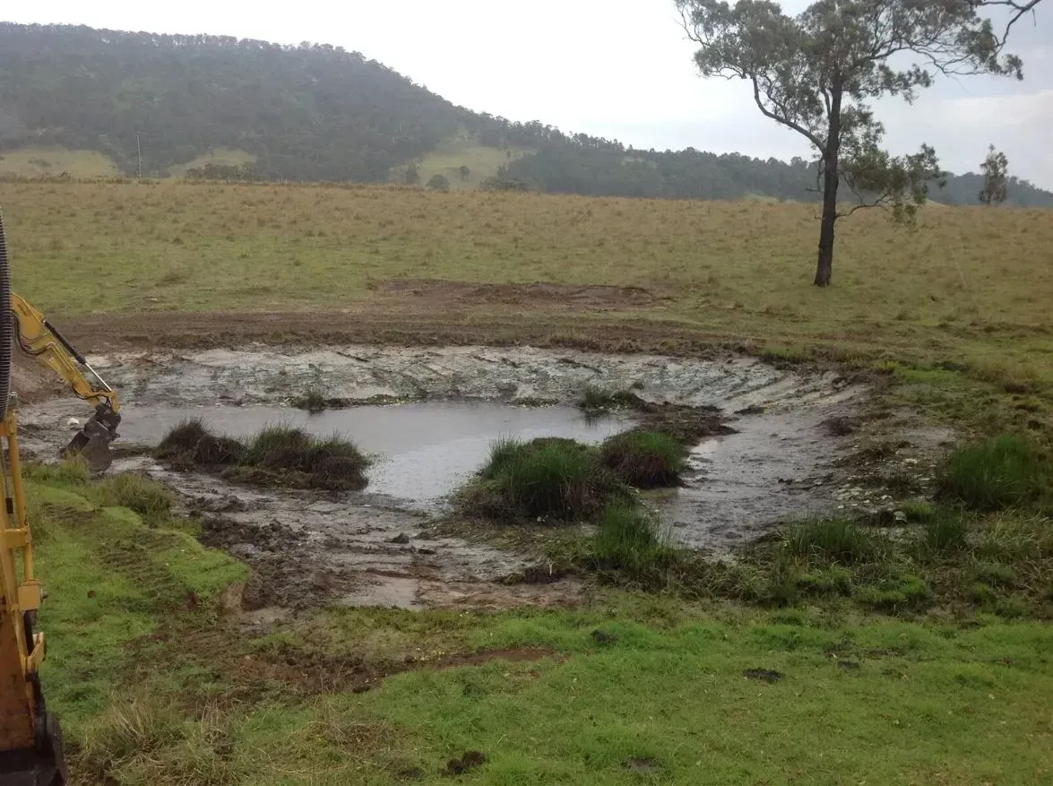 A Big Muddy Pond in a Grassy Field With a Tree And Mountain in the Background — S M & A J Gilbert Earthmoving in Mitchells Island, NSW