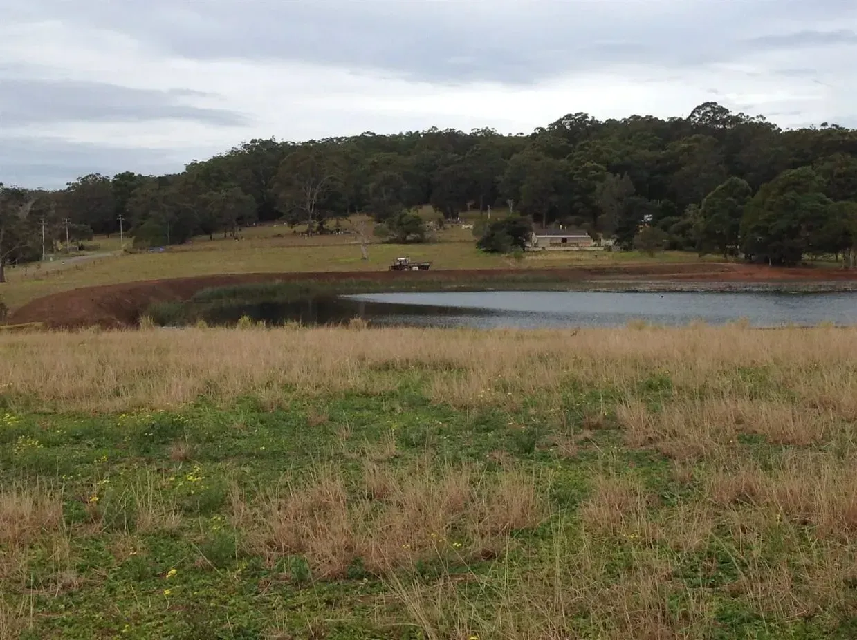 A Big Lake in the Middle of a Field With Forest in the Background — S M & A J Gilbert Earthmoving in Mitchells Island, NSW