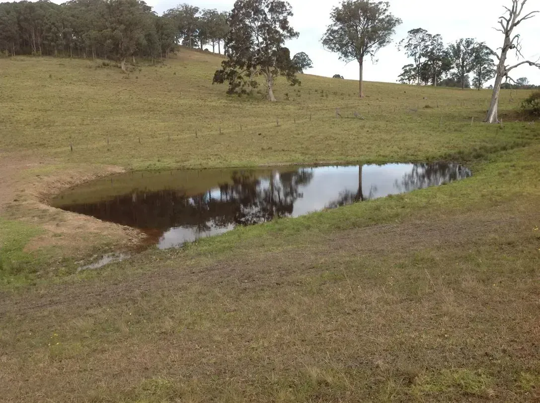 A Small Pond in the Middle of a Grassy Field — S M & A J Gilbert Earthmoving in Mitchells Island, NSW