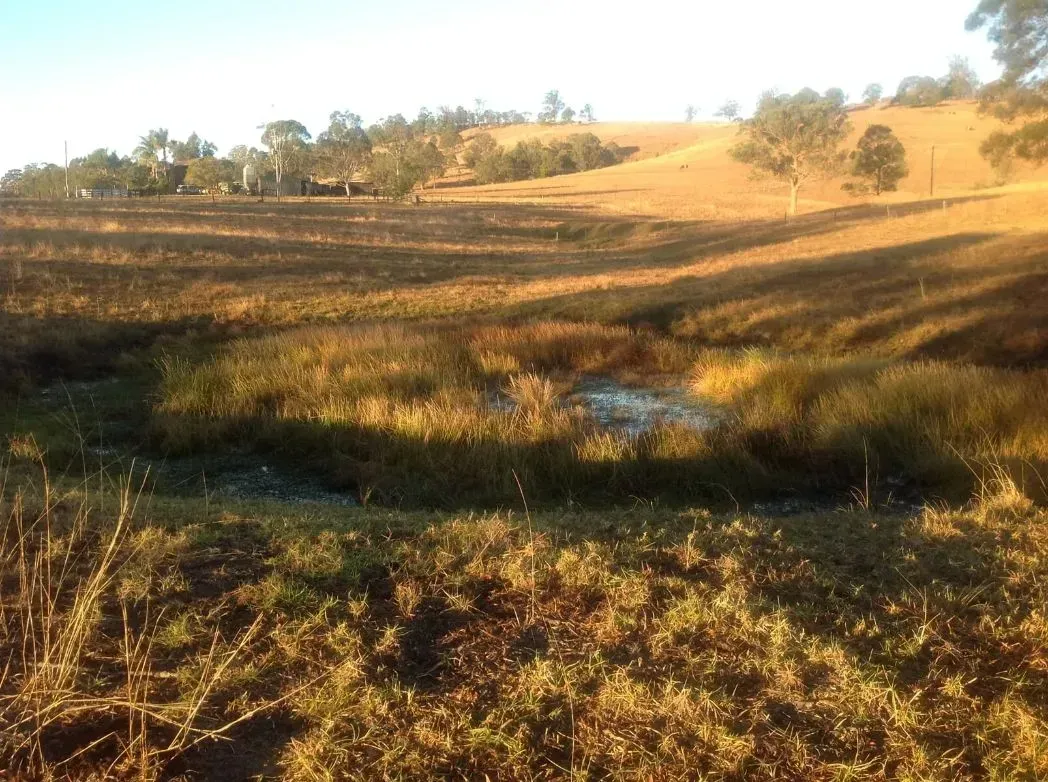 A Small Pond in the Middle of a Grassy and Green Field — S M & A J Gilbert Earthmoving in Mitchells Island, NSW