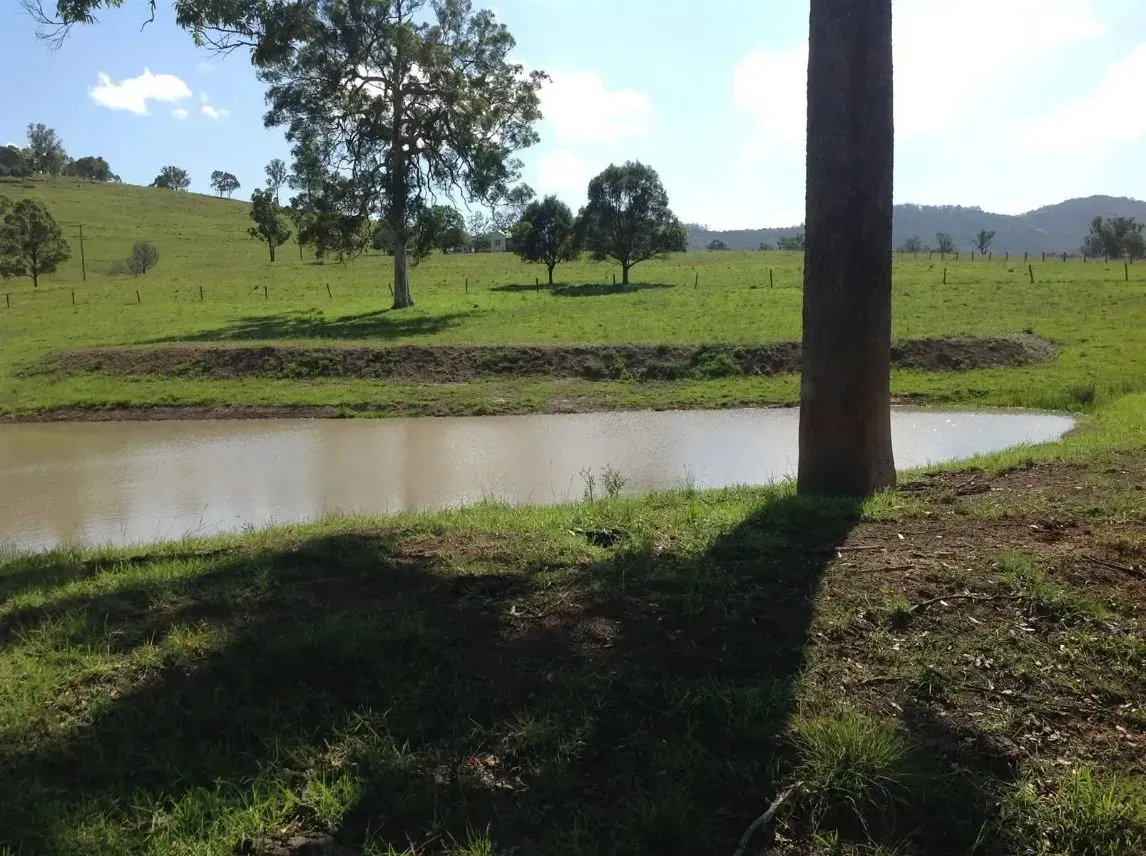 A Pond in a Grassy Field With River in the Background — S M & A J Gilbert Earthmoving in Mitchells Island, NSW