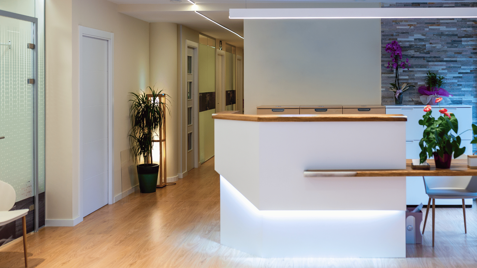 Reception area with white reception desk, wooden accents, plants, and waiting chairs.