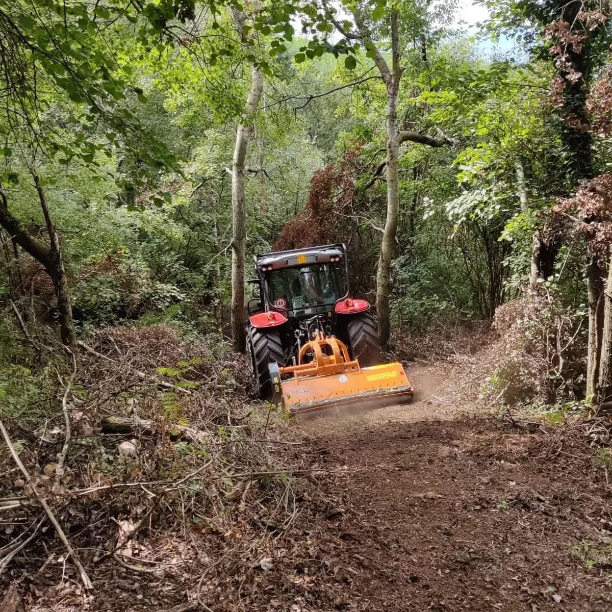 Trattore rosso che pacciama un sentiero nel bosco, rimuovendo la vegetazione con una lama meccanica.