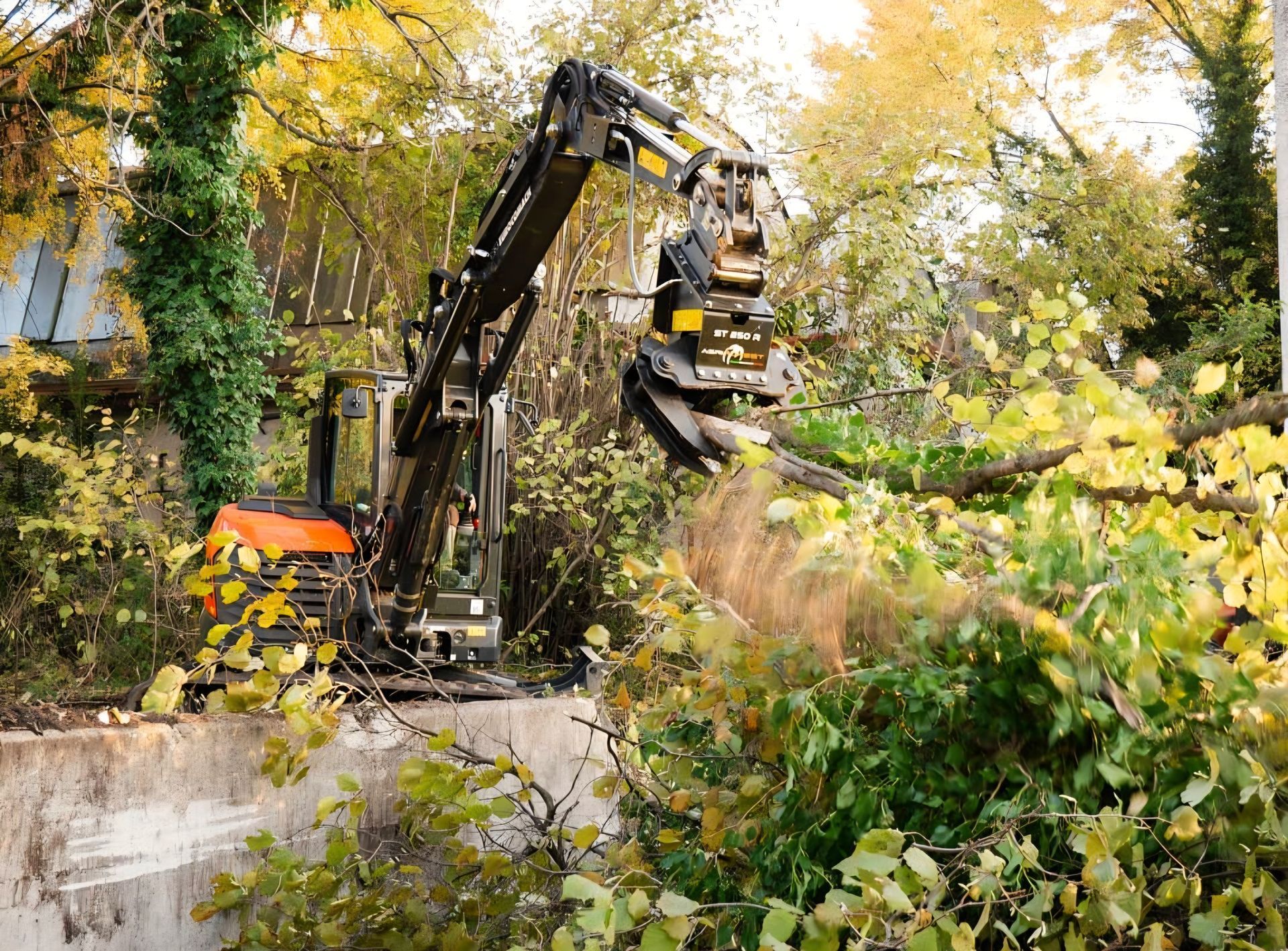 Escavatore arancione con pinza che taglia rami e ripulisce la vegetazione.