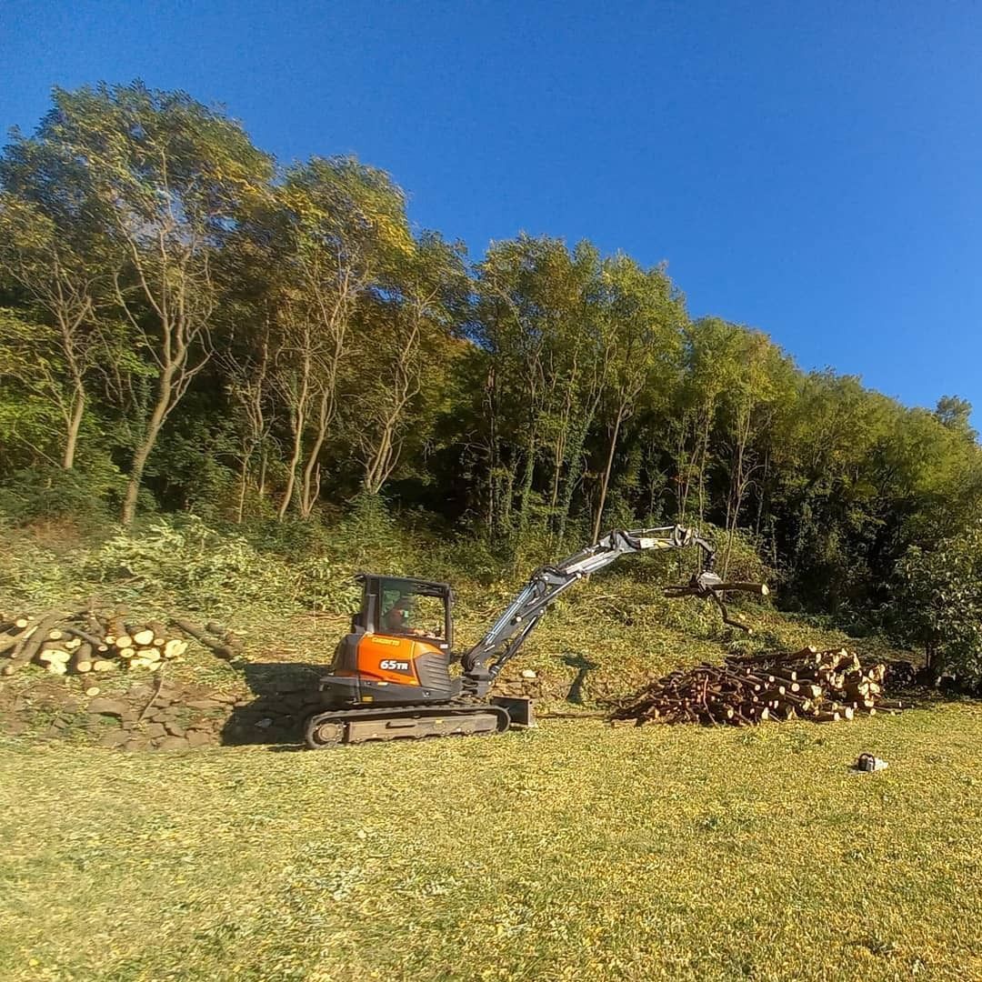Escavatore arancione al lavoro in un campo vicino a una catasta di tronchi e alberi. Cielo azzurro e limpido.
