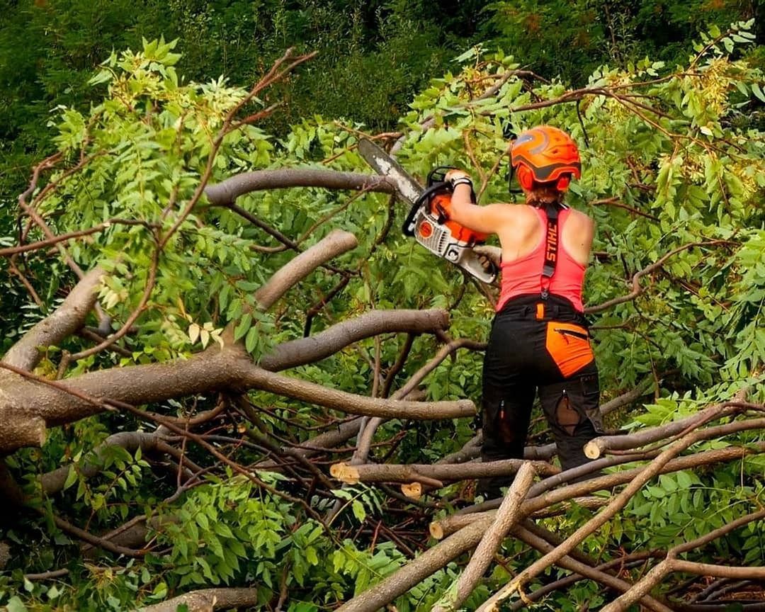 Persona che indossa un equipaggiamento di sicurezza arancione mentre usa una motosega per tagliare i rami caduti di un albero.