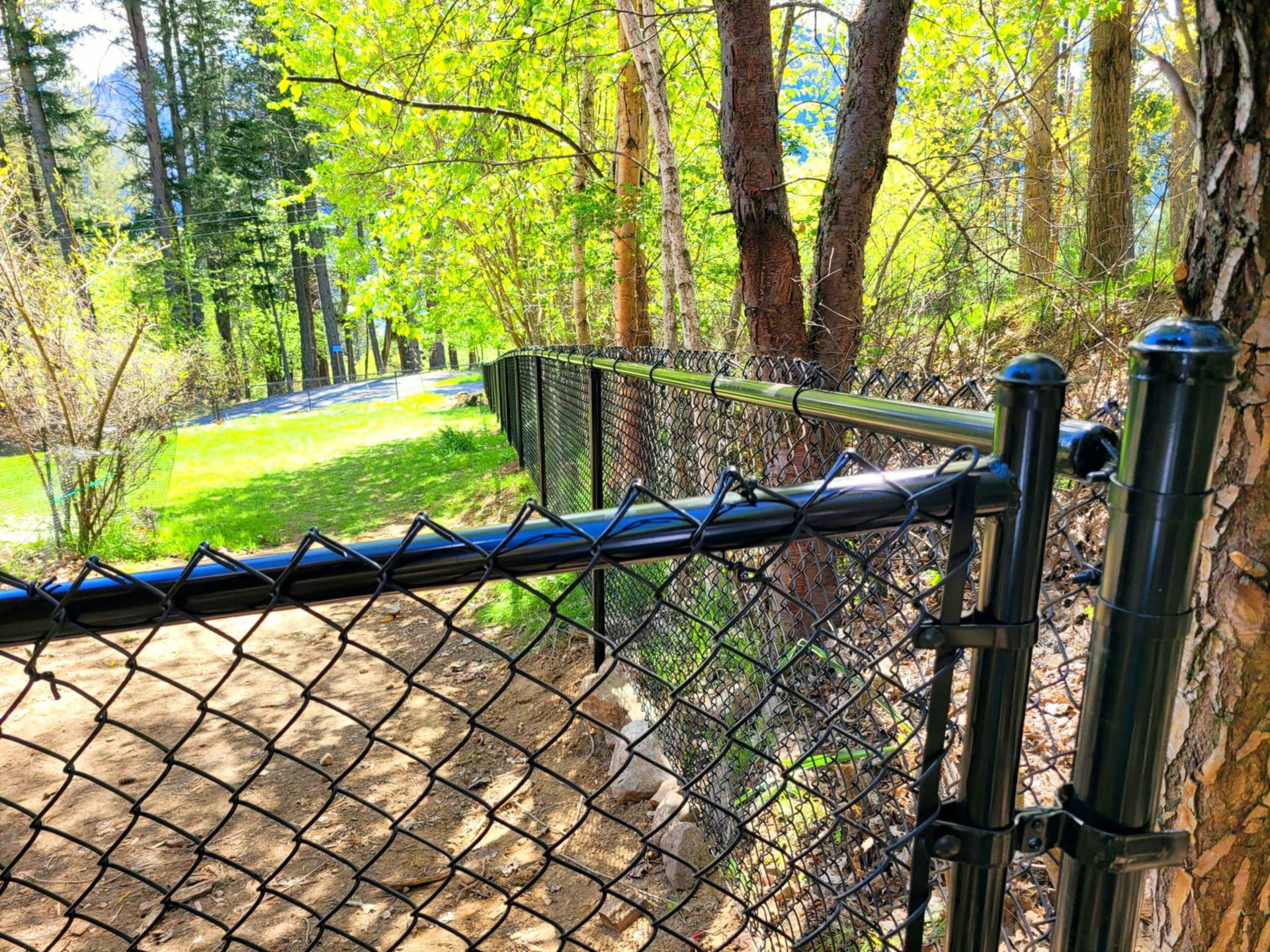 Black chain-link fence bordering a path through a wooded area with trees and sunlight.