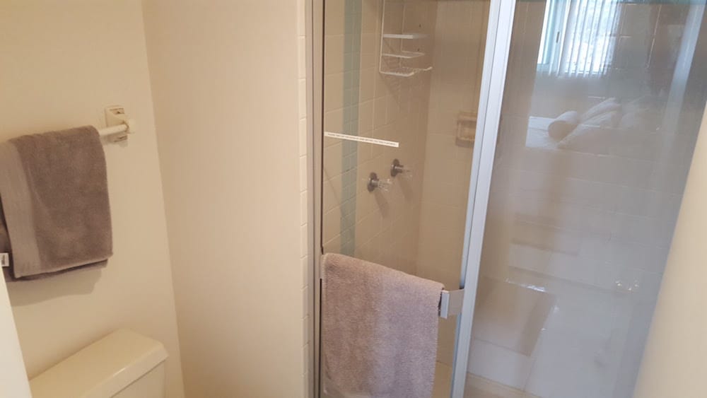 Shower Door