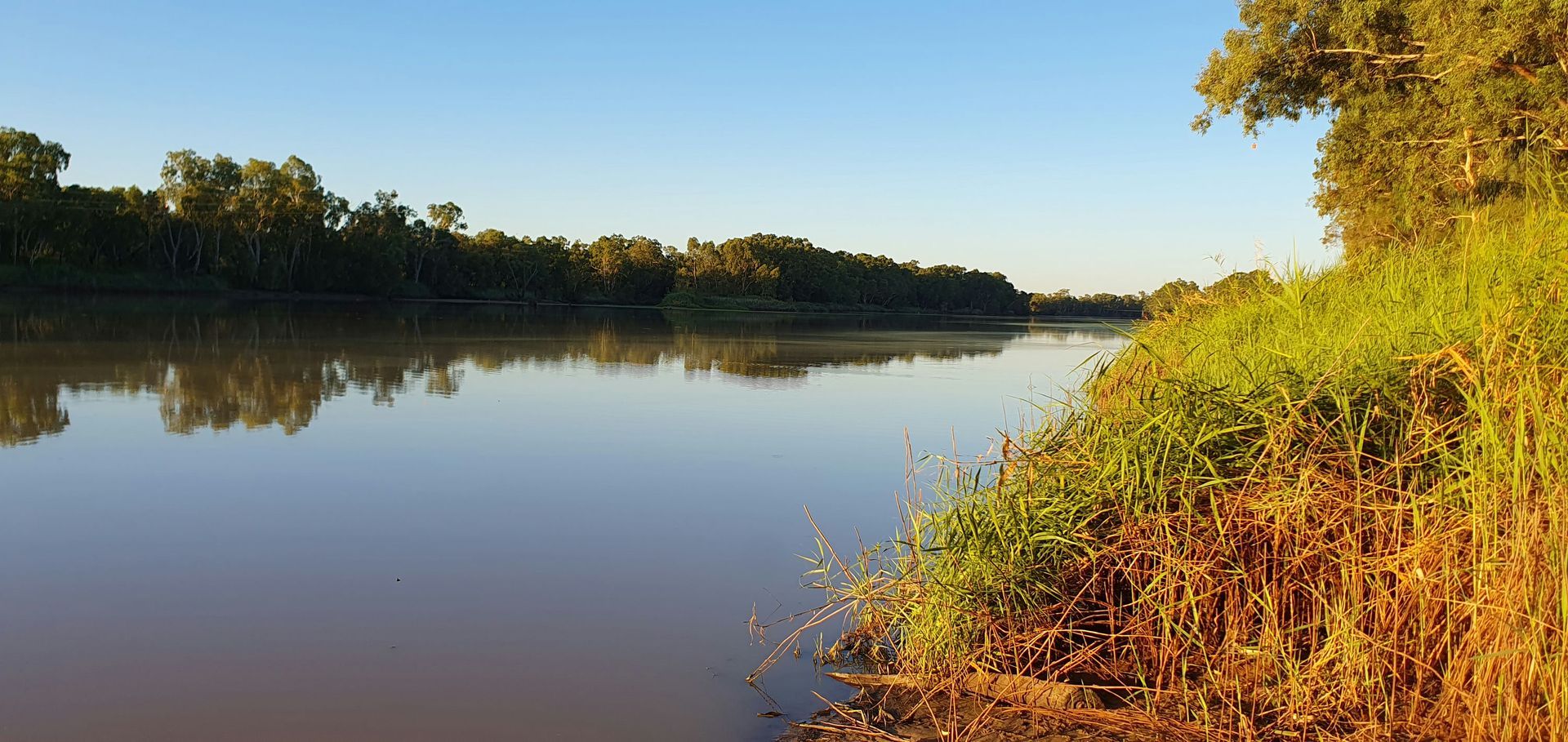 Proterra Group employee working in the field