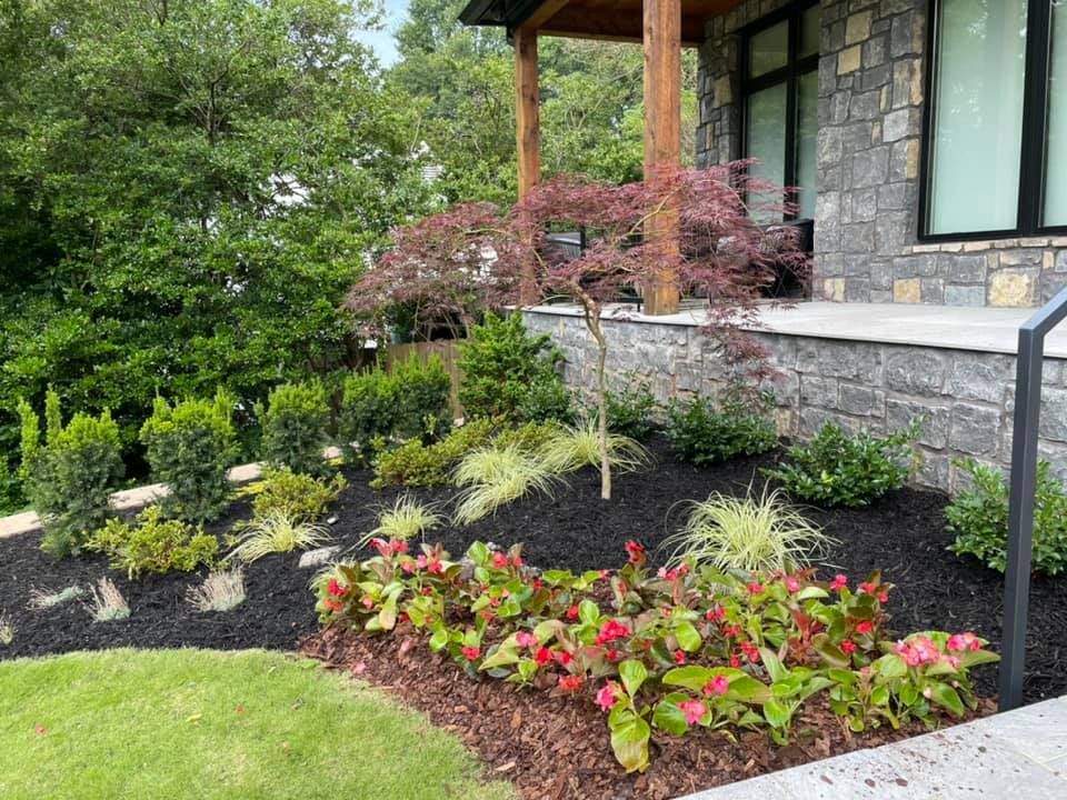 Landscaped garden bed with red flowers, Japanese maple, and evergreen shrubs in front of a stone house.