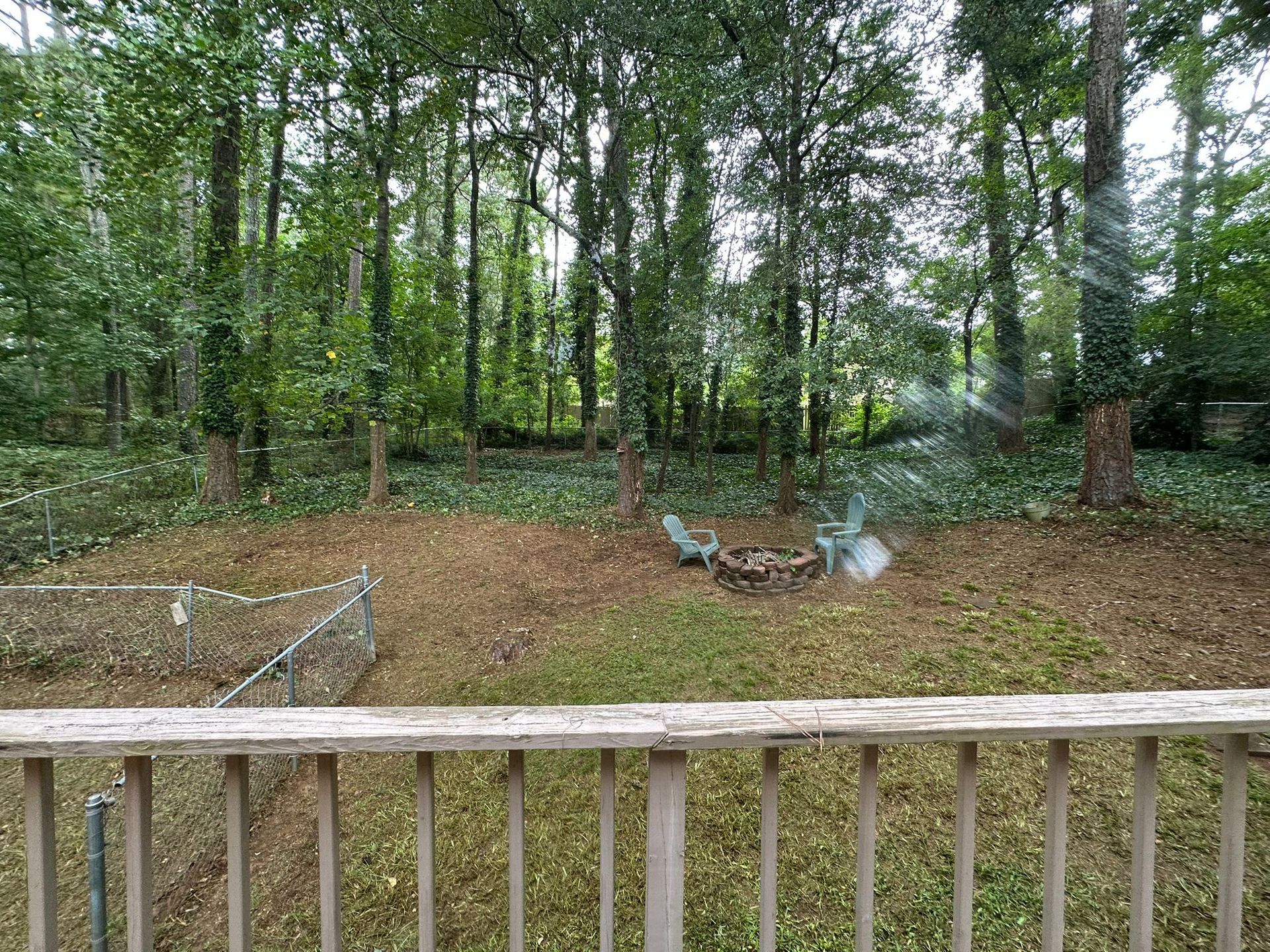 Backyard view: brown grass, trees in background, wooden railing in foreground, with a chain-link fence.