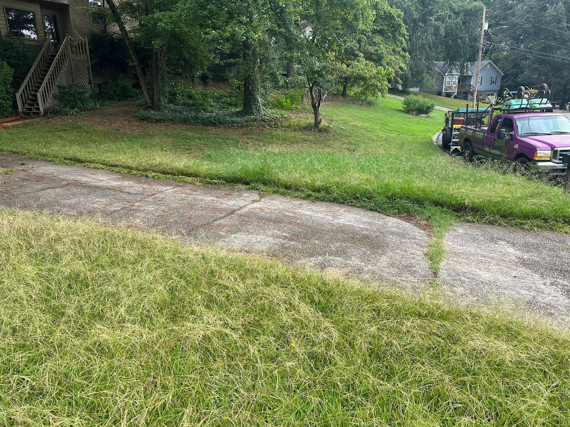 Overgrown lawn and driveway next to a purple truck. Green grass and concrete in a residential area.
