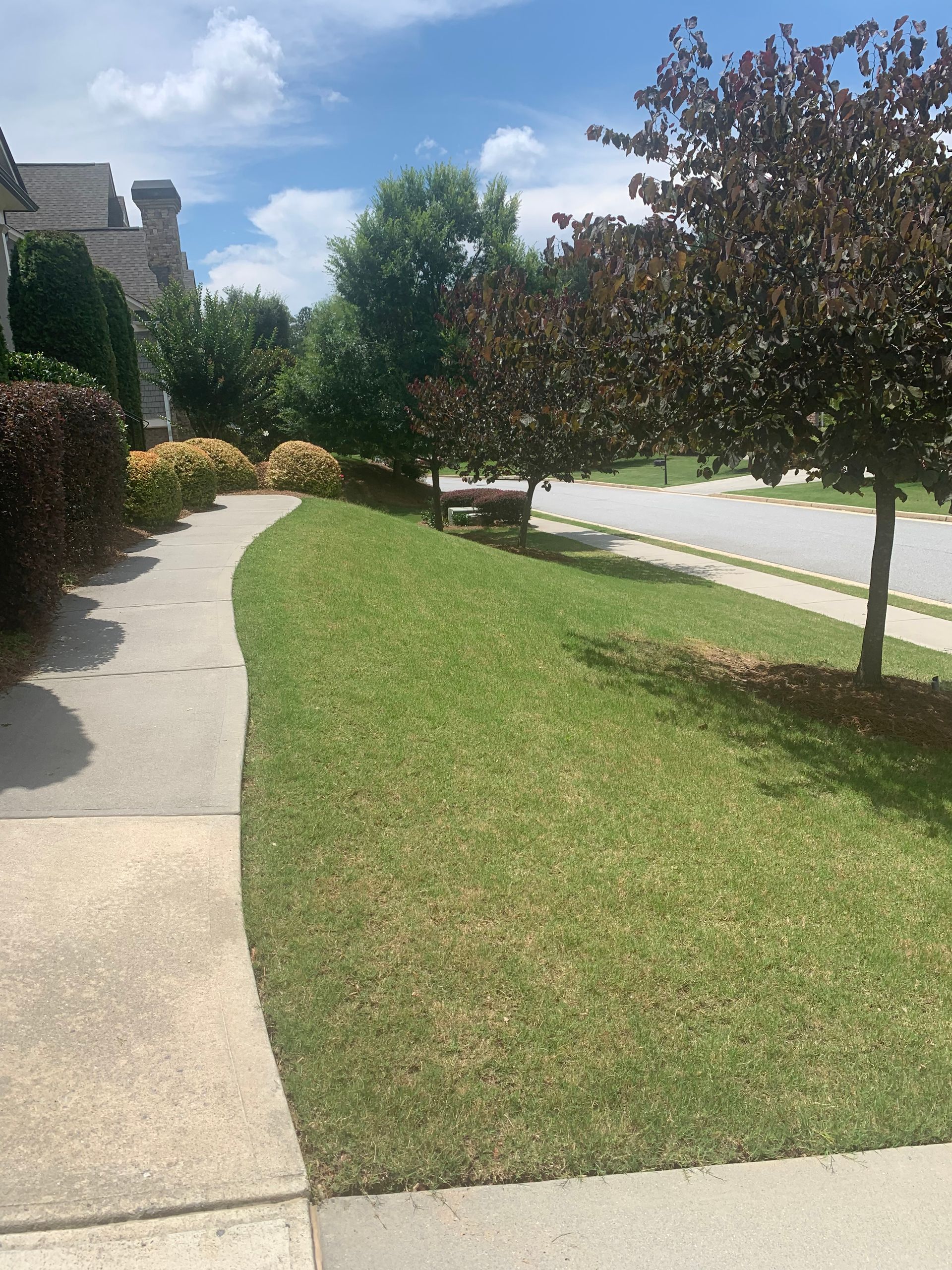 A curved concrete sidewalk borders a well-kept lawn, trees, and street on a sunny day.