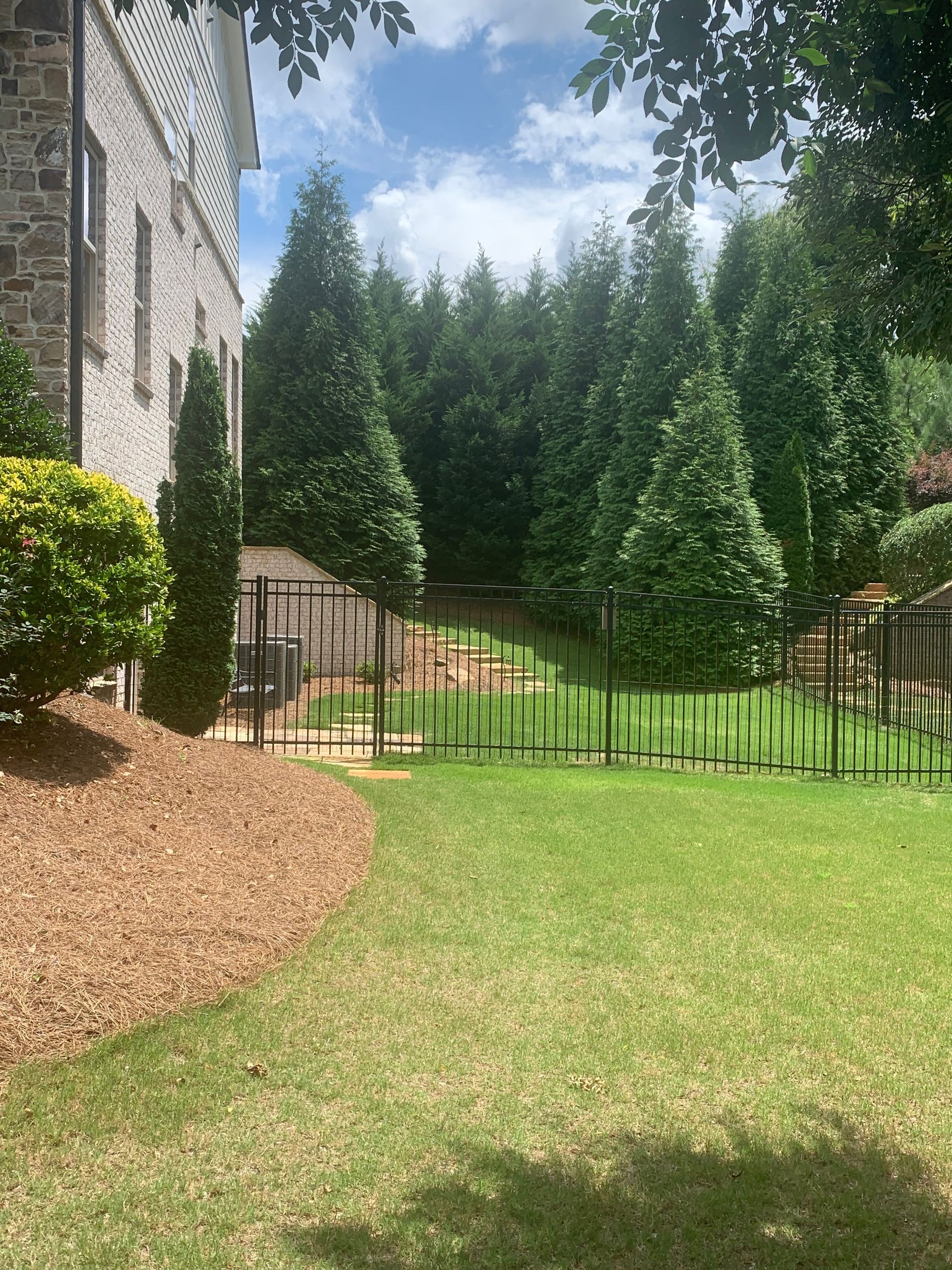 Lush green lawn with a black fence, leading to a grove of tall, evergreen trees. A brick building is on the left.