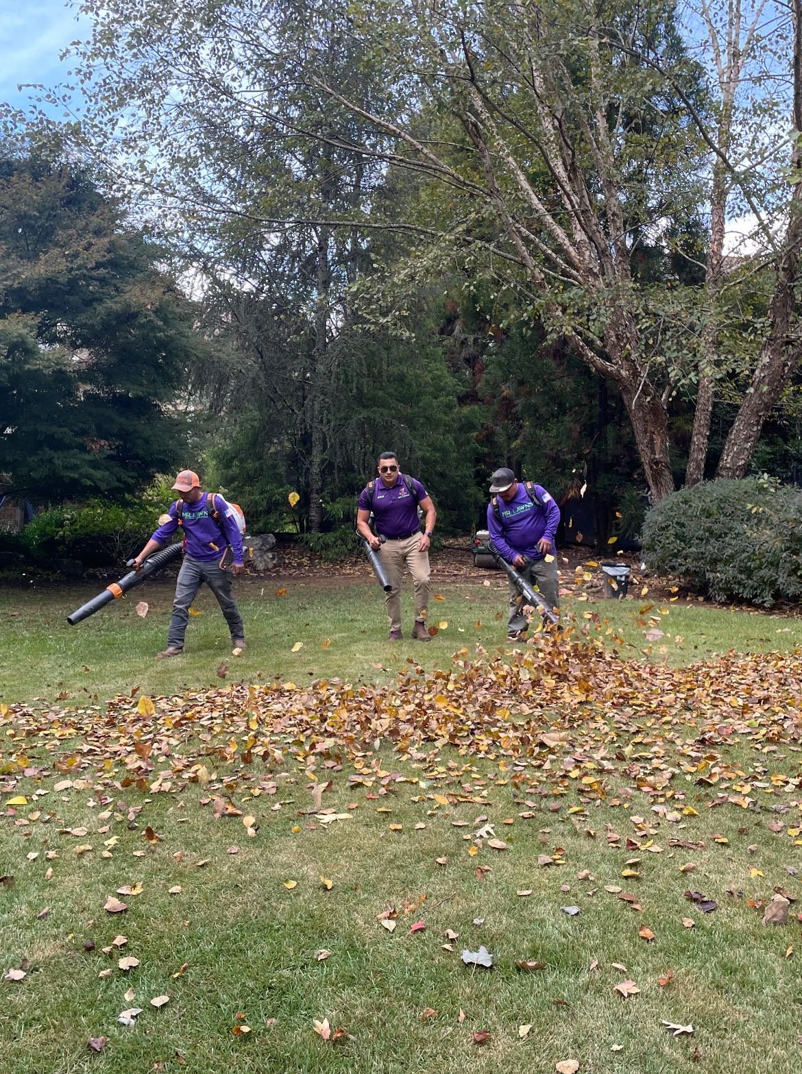Three people in purple shirts blowing leaves in a yard. Autumn leaves cover the green grass.