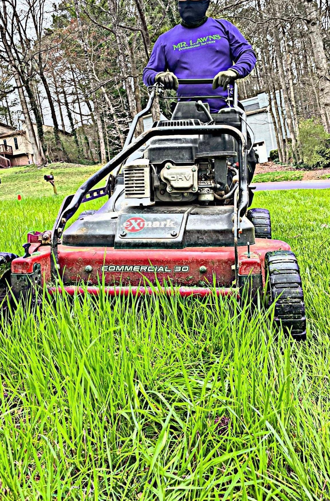 Person mowing tall grass with a red lawnmower; outdoors. The person wears a purple shirt and a black face covering.