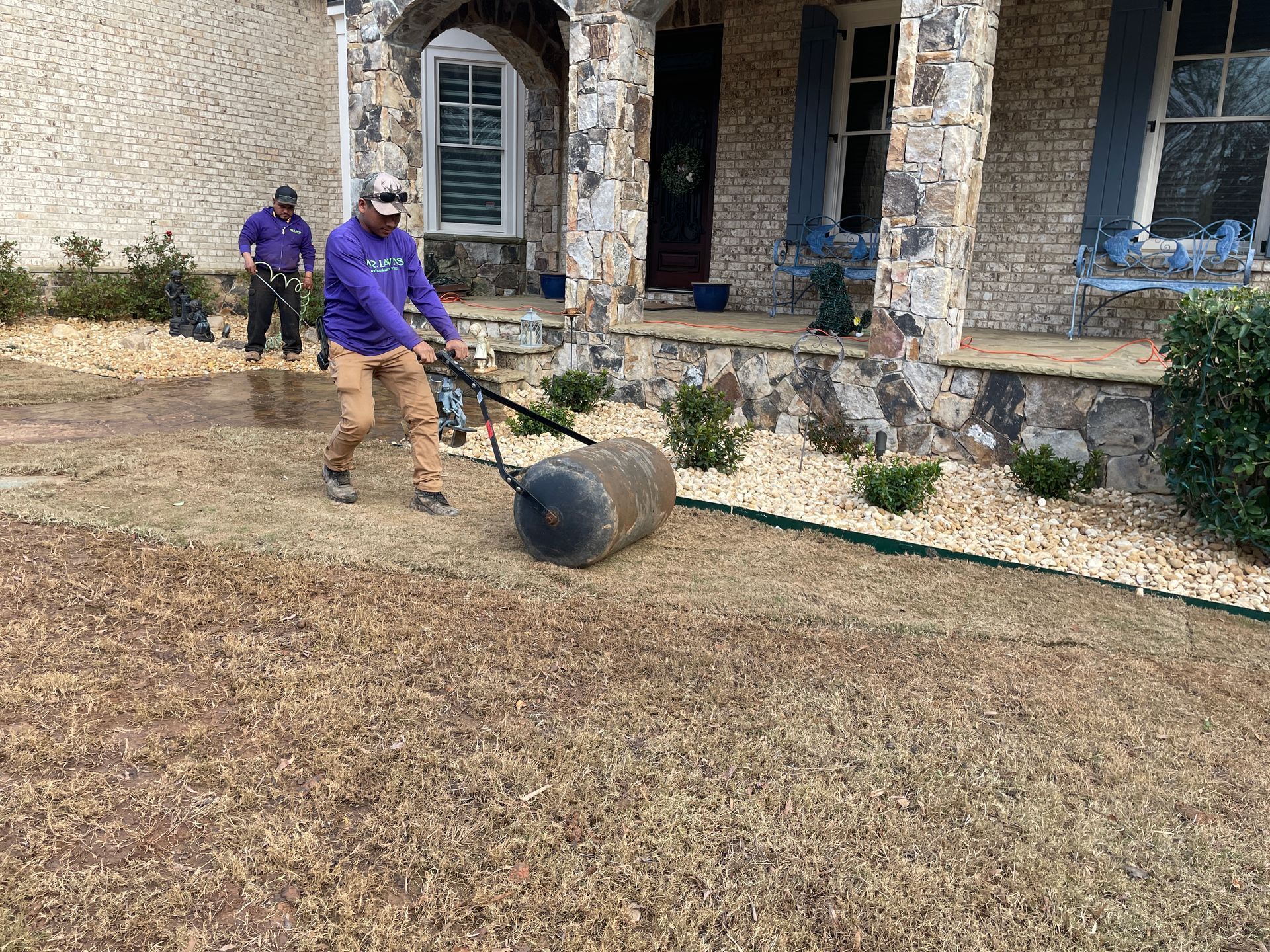 Two people rolling a lawn with a roller. Building with stone facade in background.
