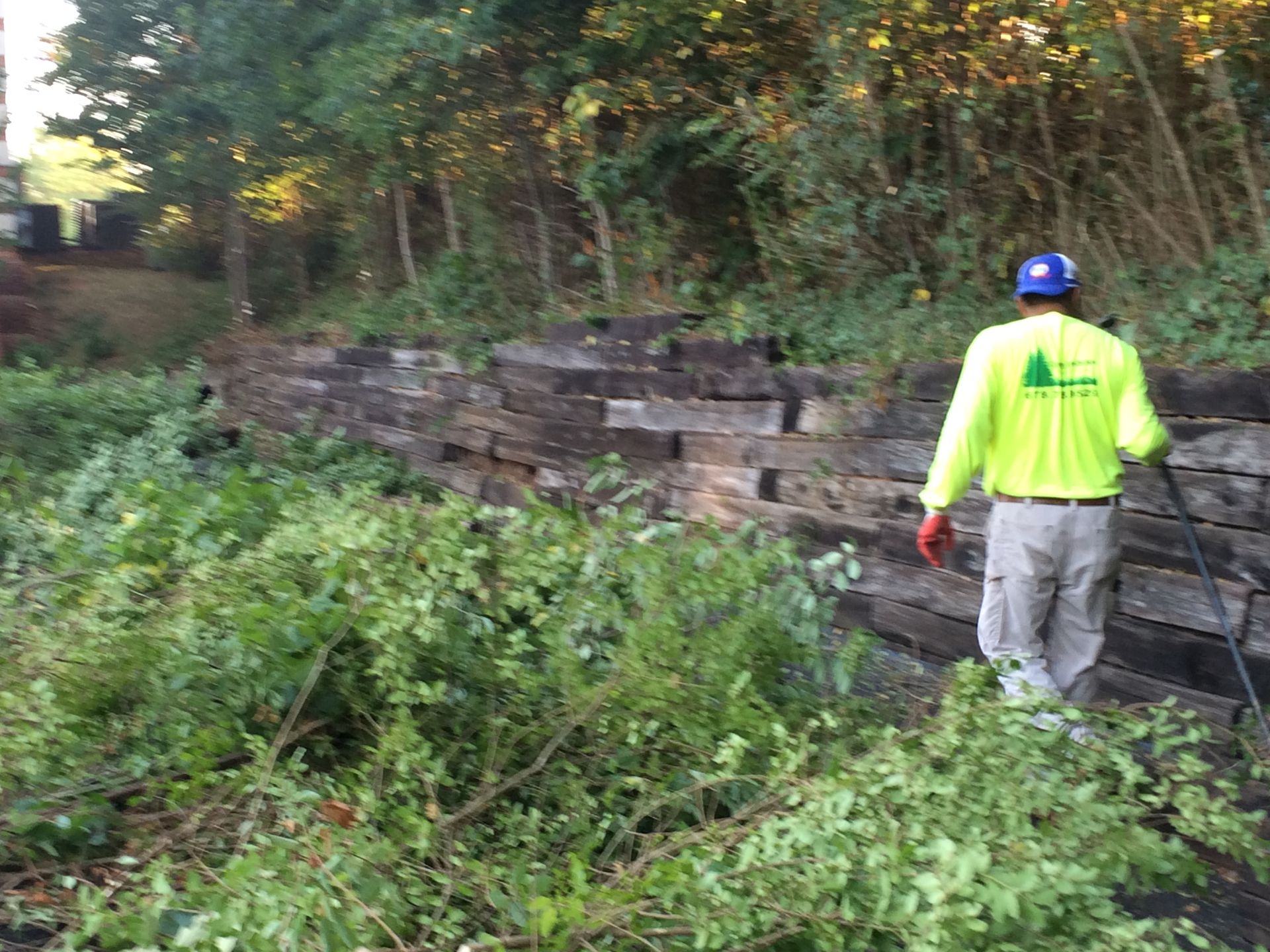 Arborist trimming brush near a wood retaining wall. Wearing safety gear. Outdoors setting.