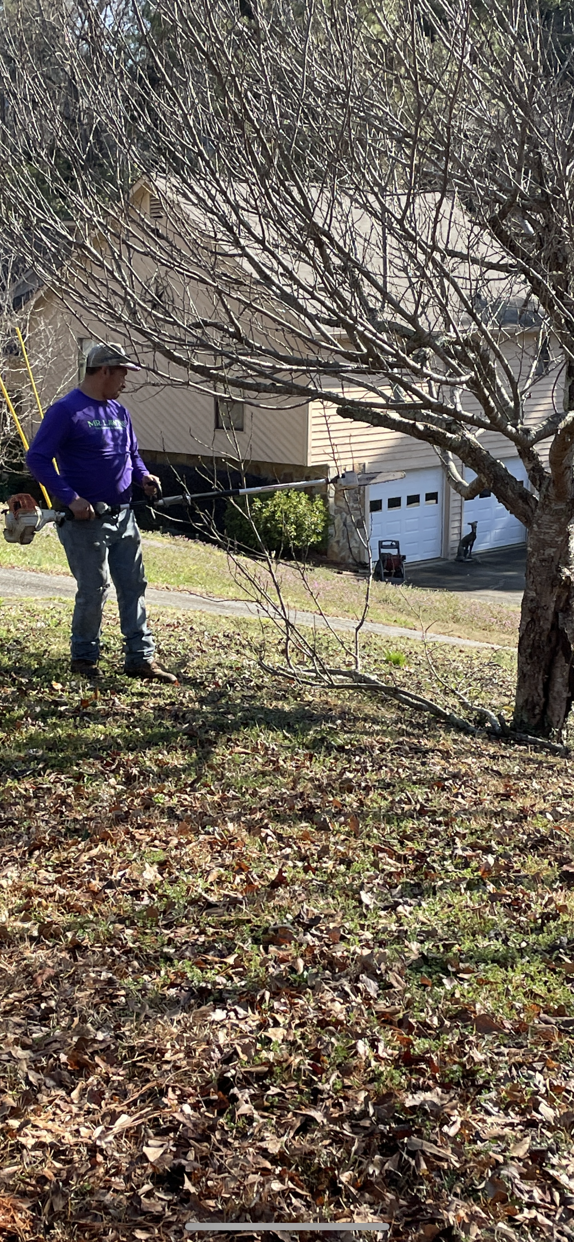 A person using a leaf blower on a lawn covered in leaves, a house and tree in the background.