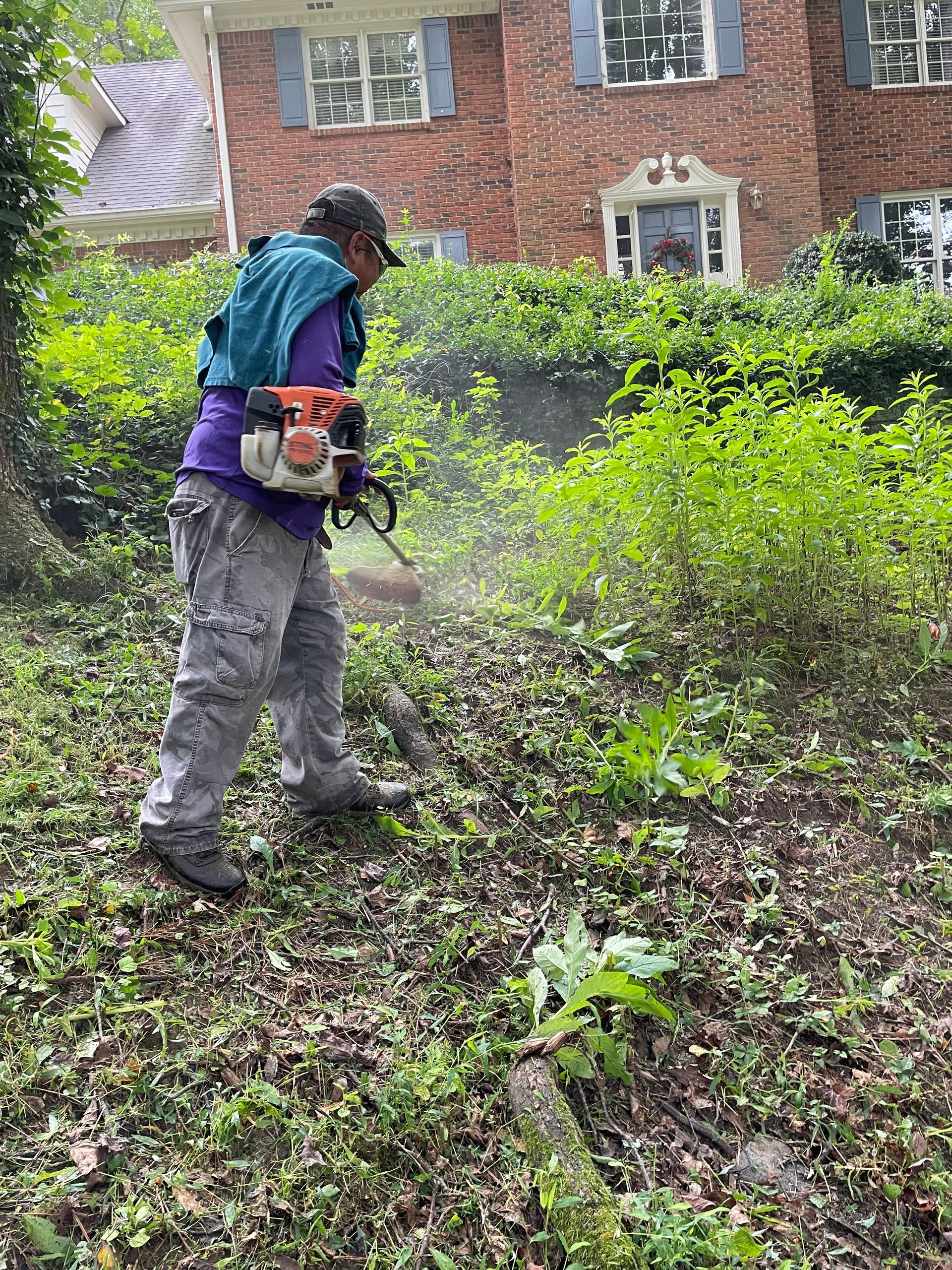 Person using a trimmer, clearing vegetation near a brick house. Green and brown tones.