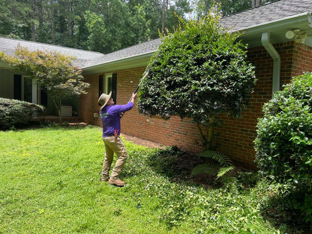Man trimming a large green shrub next to a brick house. Sunny day.
