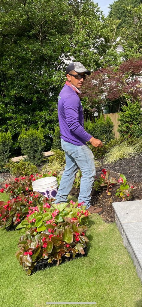 A person in purple shirt and hat tending to plants in a garden.