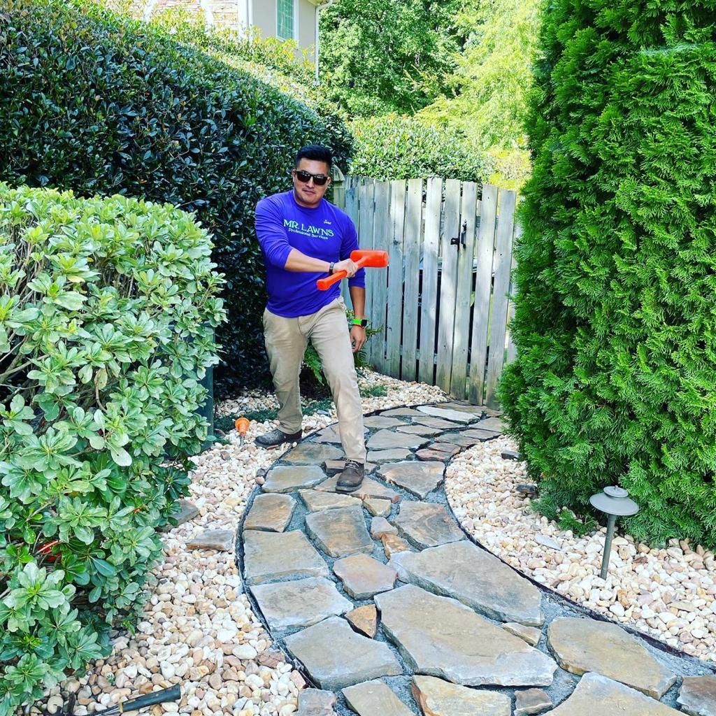 Man in purple shirt walks on stone path, holding a red gardening tool, near a fence and bushes.