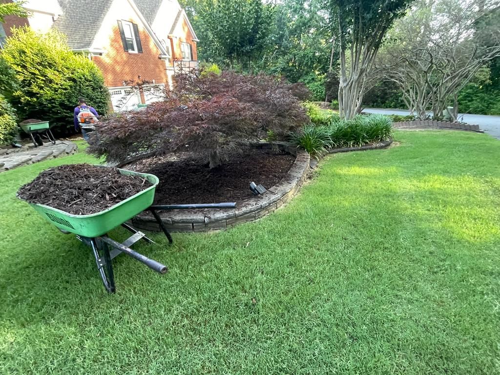 A green wheelbarrow filled with mulch near a landscaped garden with a red maple tree.