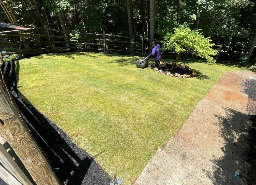 A person mowing a lawn with a push mower; green grass, brown mulch around small tree.