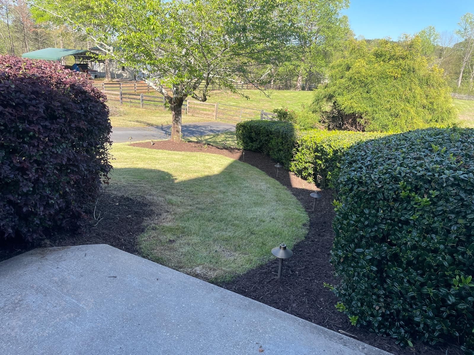 Lush green lawn edged with dark mulch, surrounded by trimmed bushes and a tree under a blue sky.