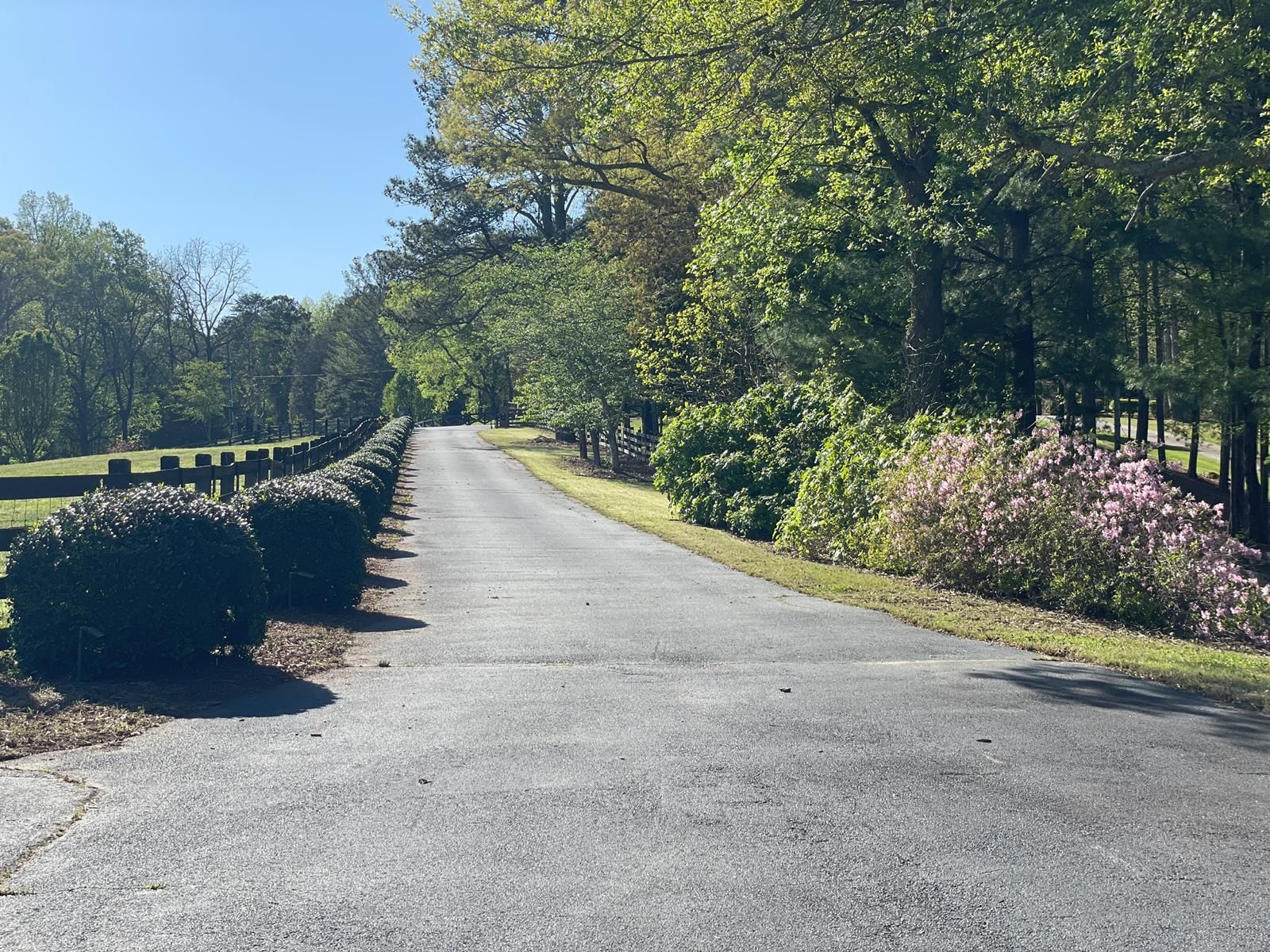 Paved road lined with bushes and trees on a sunny day.