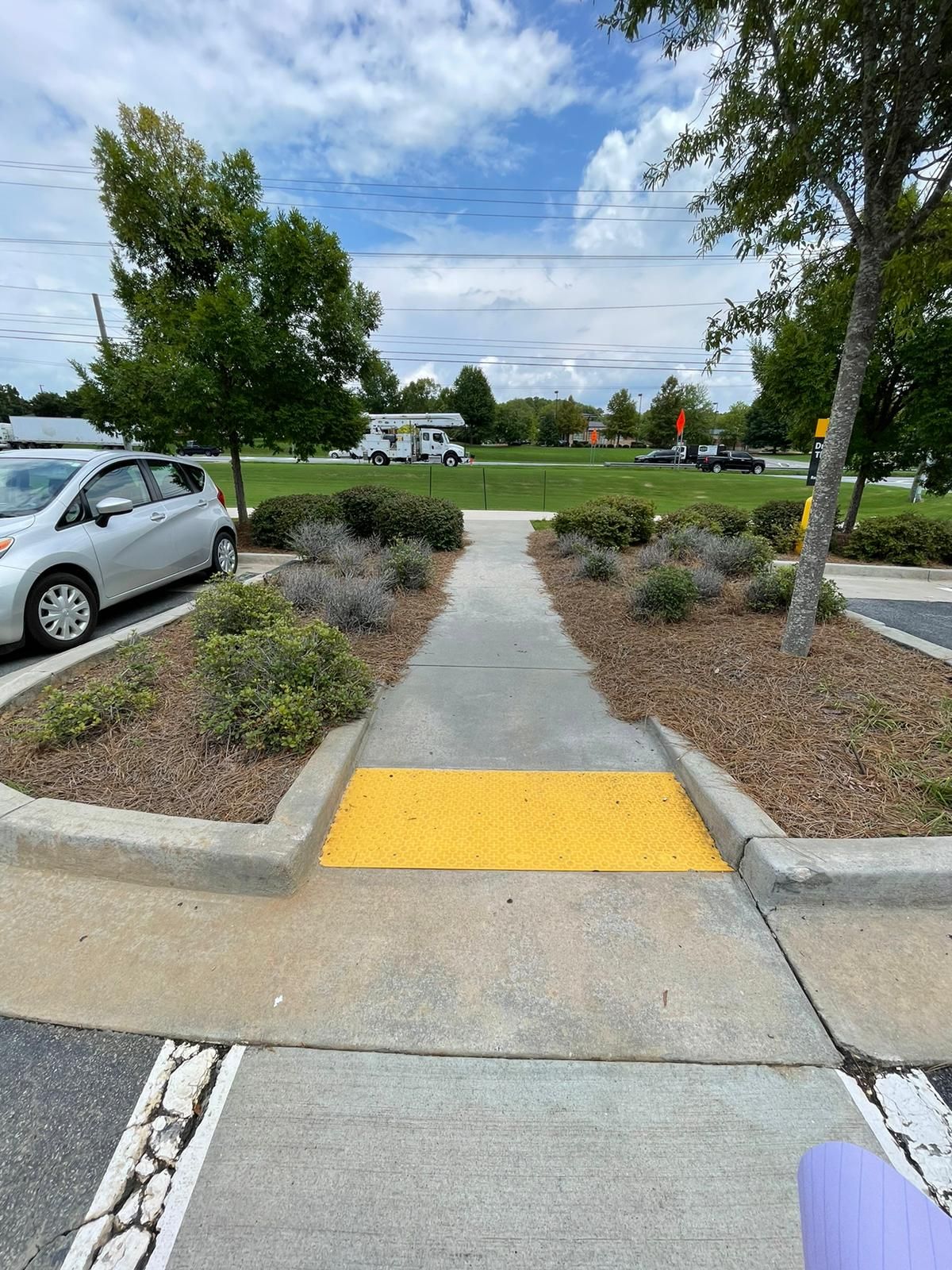 Concrete path with yellow tactile paving, between landscaped beds, leading towards a street.