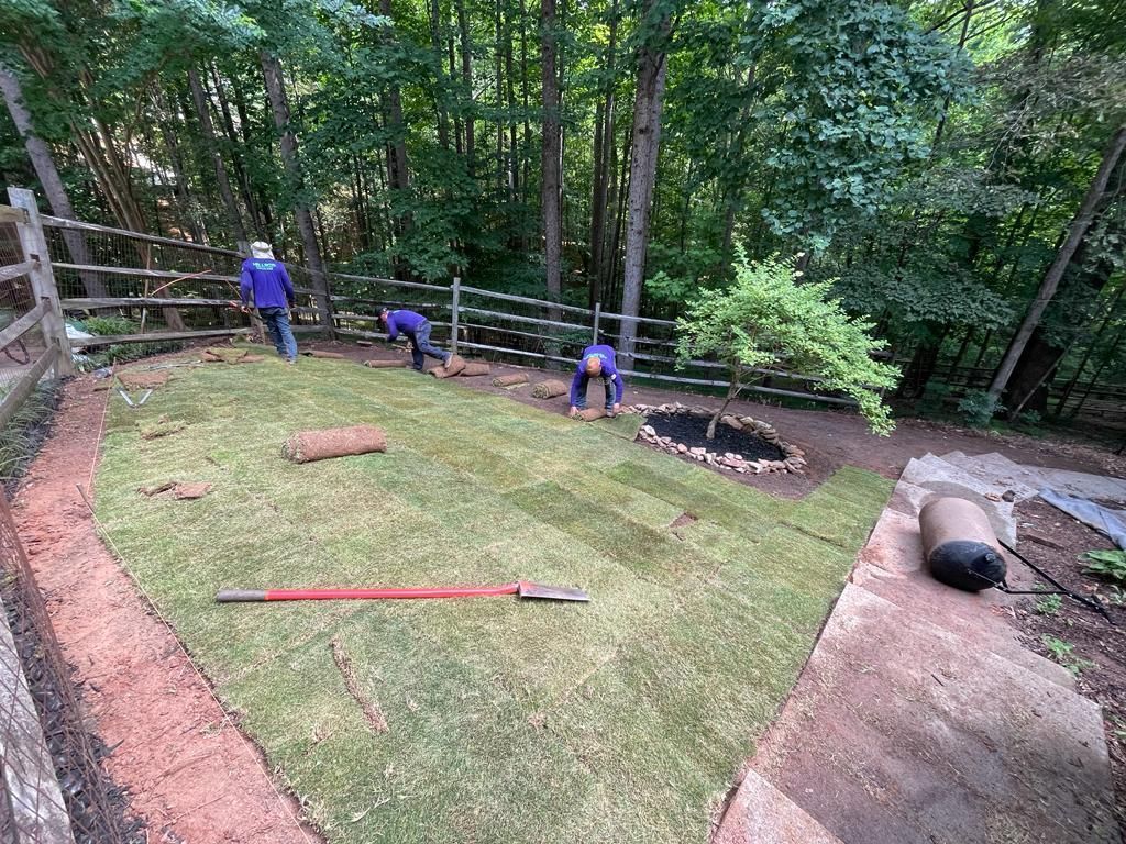 Workers laying sod in a yard with a split-rail fence and trees in the background.
