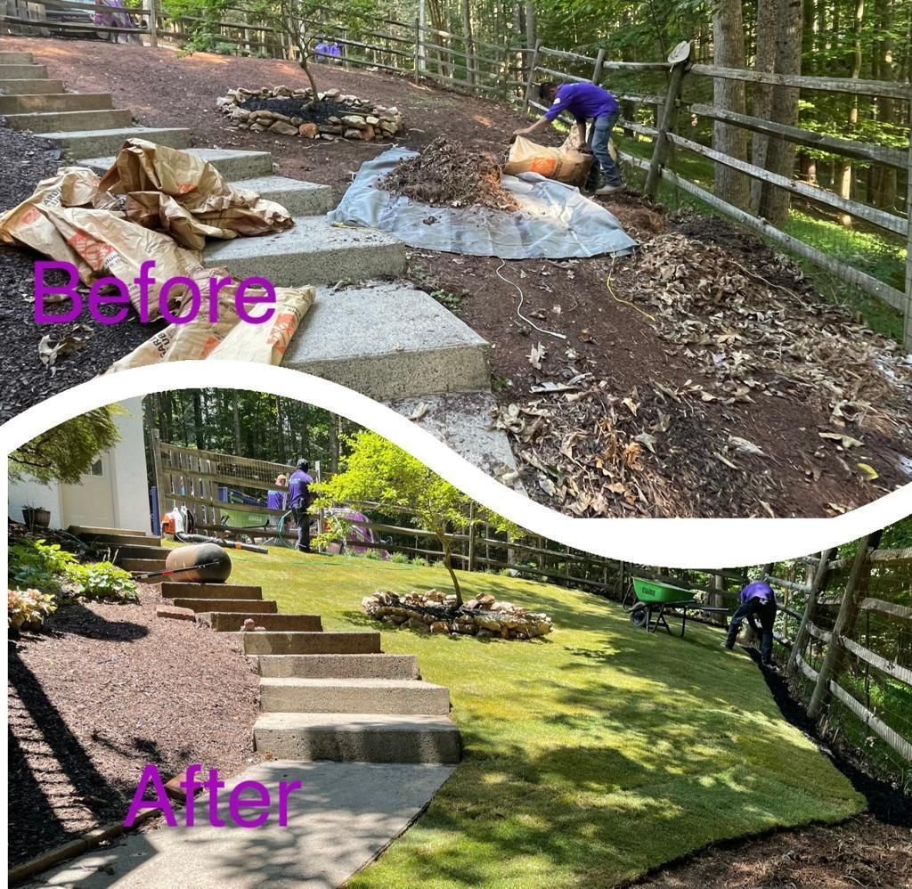 Before and after of a landscape project, with workers and steps transformed with fresh sod and mulch.