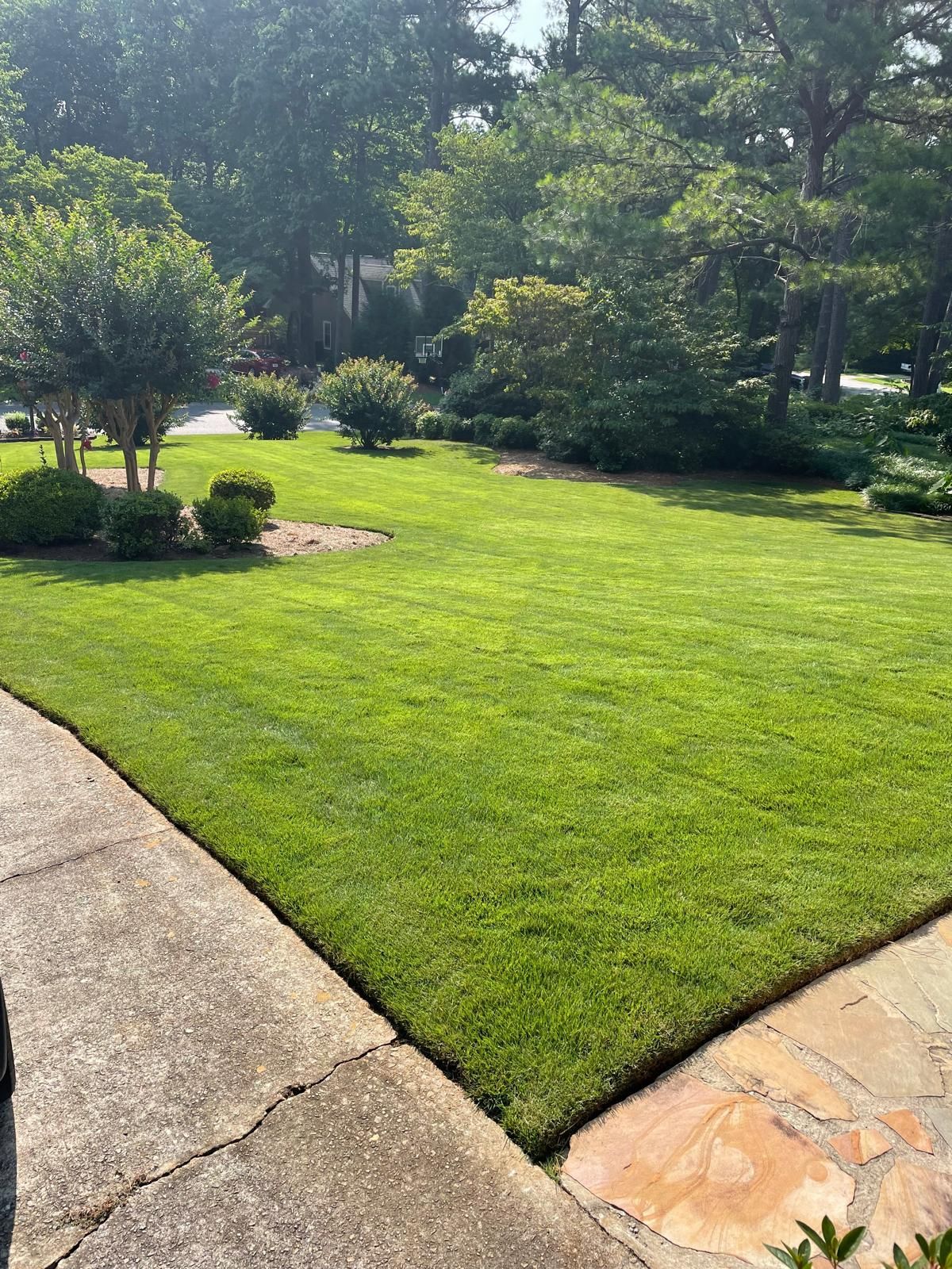 Lush green lawn bordered by a stone walkway, shrubs, and trees under a sunny sky.