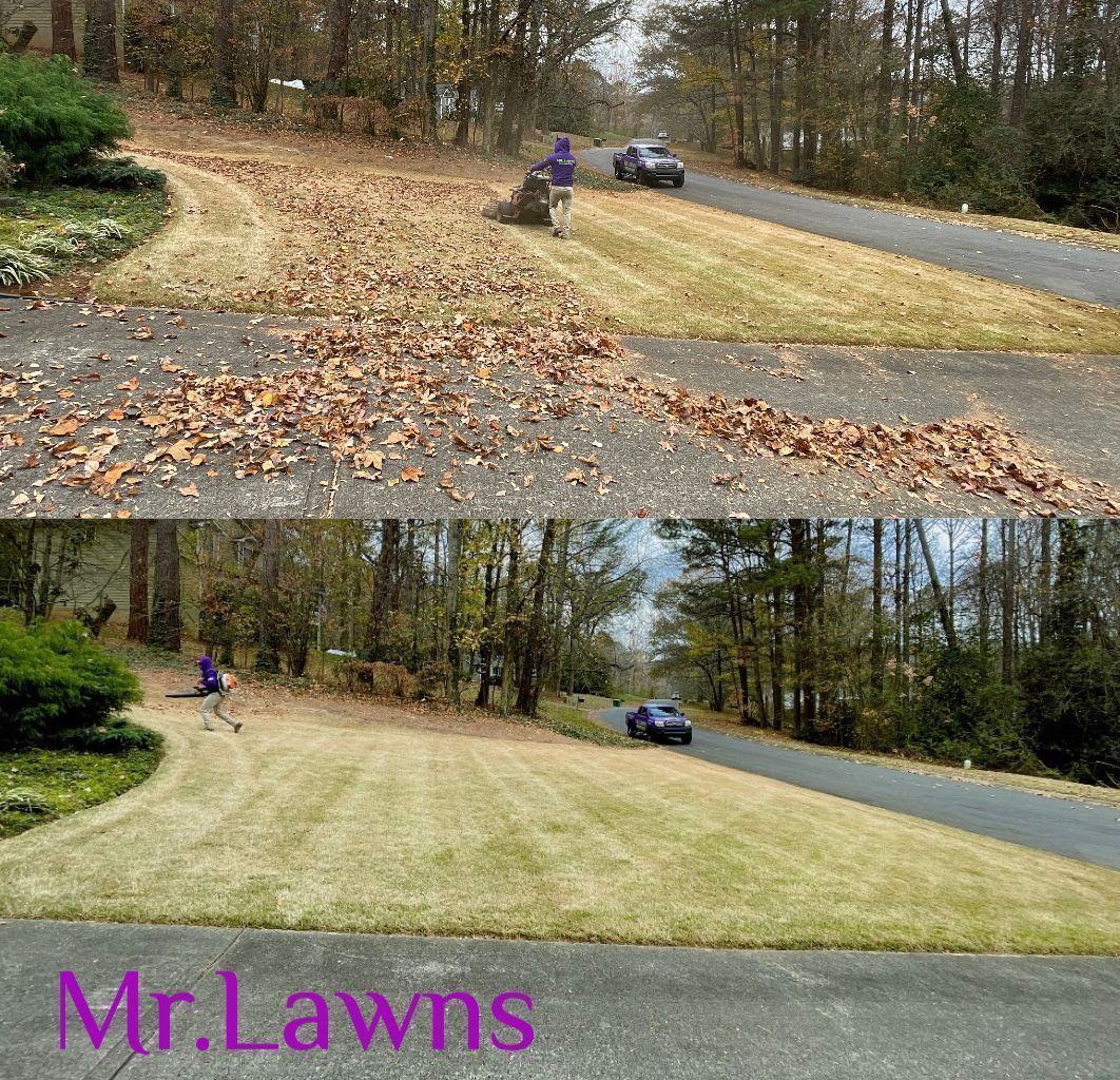 A before and after picture of a lawn with leaves on the ground.