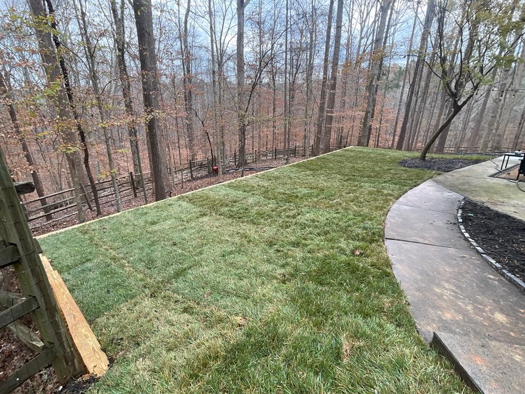Green grass patch next to a curved concrete patio, surrounded by trees.