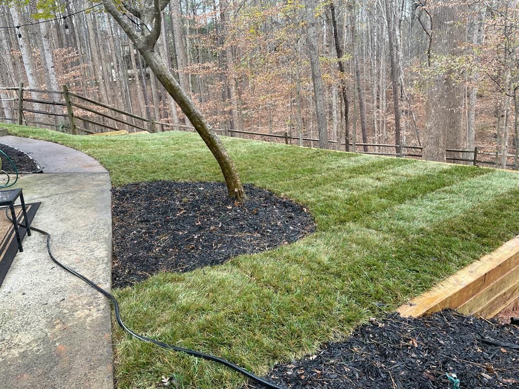 Newly sodded lawn on a sloping backyard, with a tree, mulch, and wooden retaining wall.