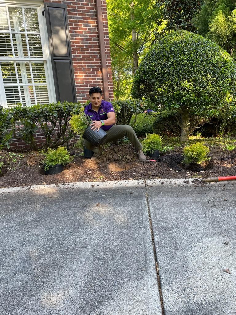 Man planting shrubs near a brick building. He wears a purple shirt and is holding a plant pot.