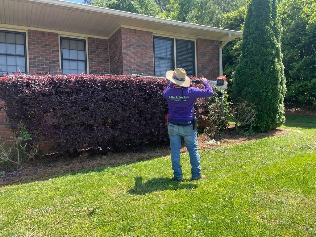 Person trimming a dark red hedge with a power trimmer in front of a brick house.