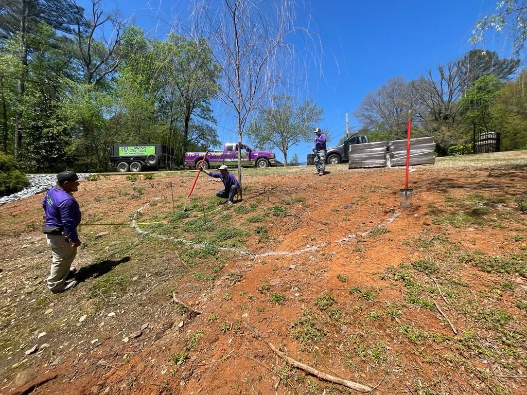 Workers in purple shirts measure and mark a sloped yard with string and stakes on a sunny day.